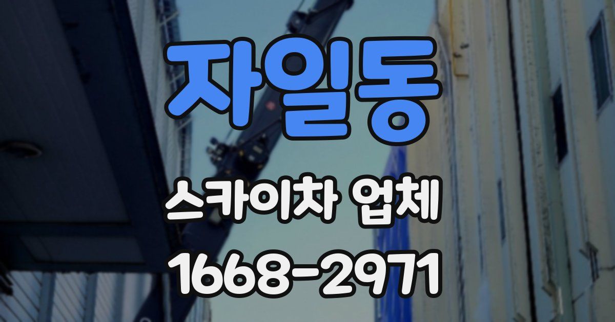자일동 스카이차 업체