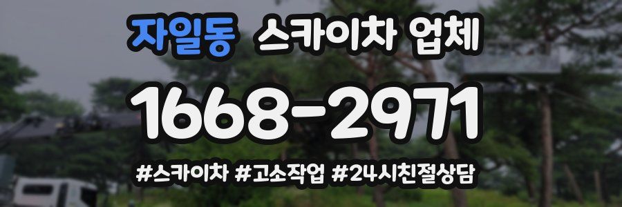 자일동 스카이차 업체