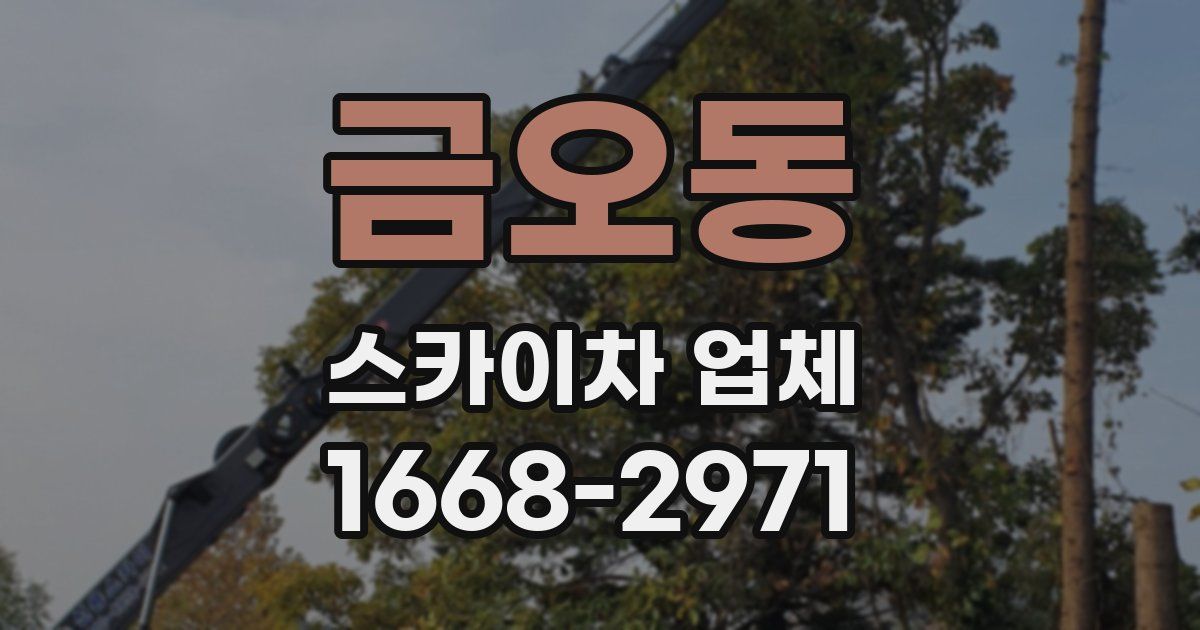 금오동 스카이차 업체