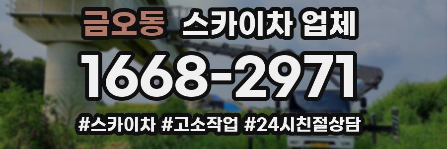 금오동 스카이차 업체