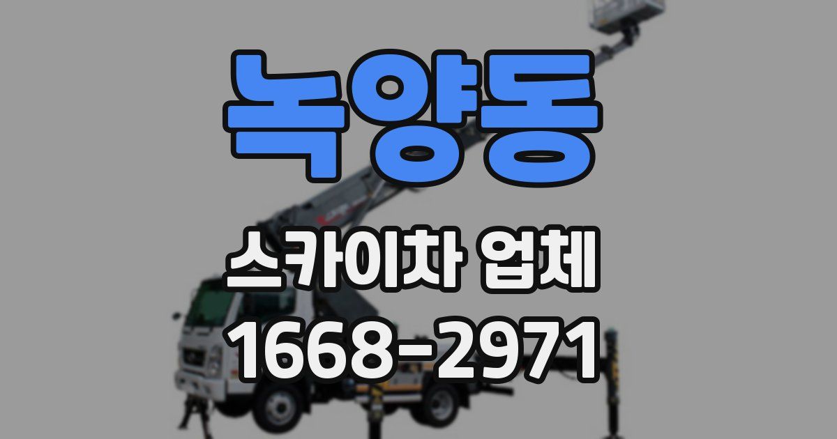 녹양동 스카이차 업체