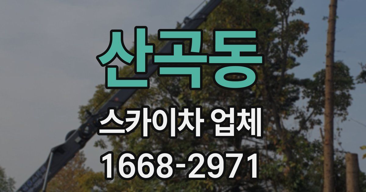 산곡동 스카이차 업체