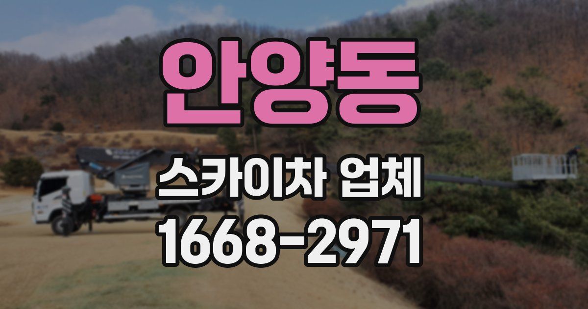안양동 스카이차 업체