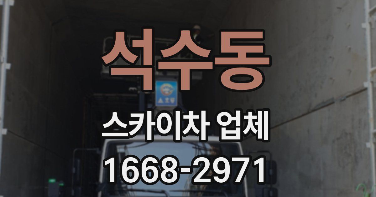 석수동 스카이차 업체