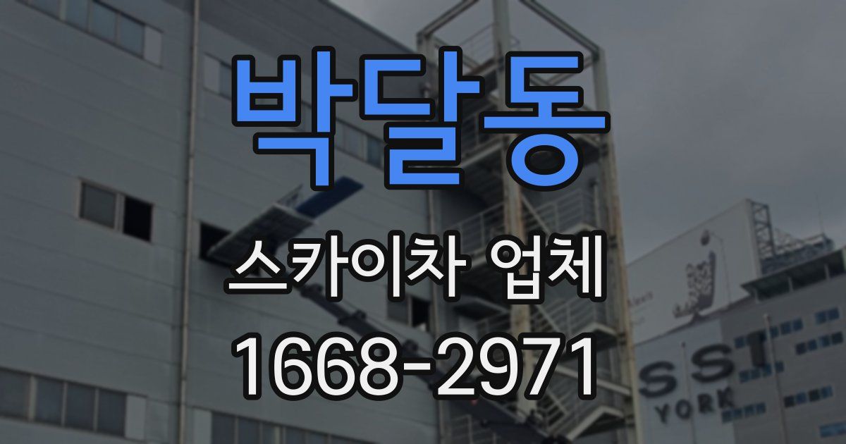 박달동 스카이차 업체