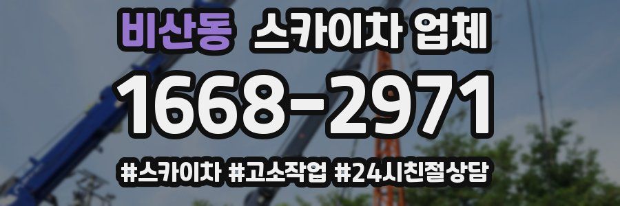 비산동 스카이차 업체