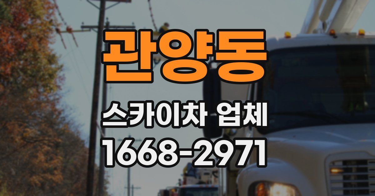 관양동 스카이차 업체