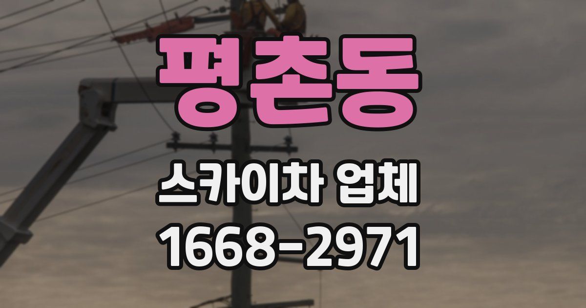 평촌동 스카이차 업체