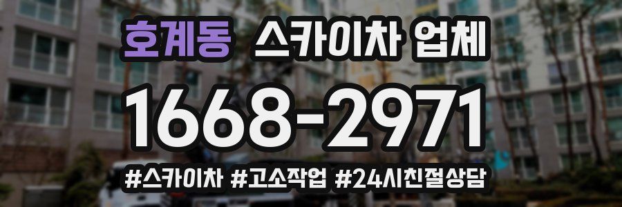 호계동 스카이차 업체