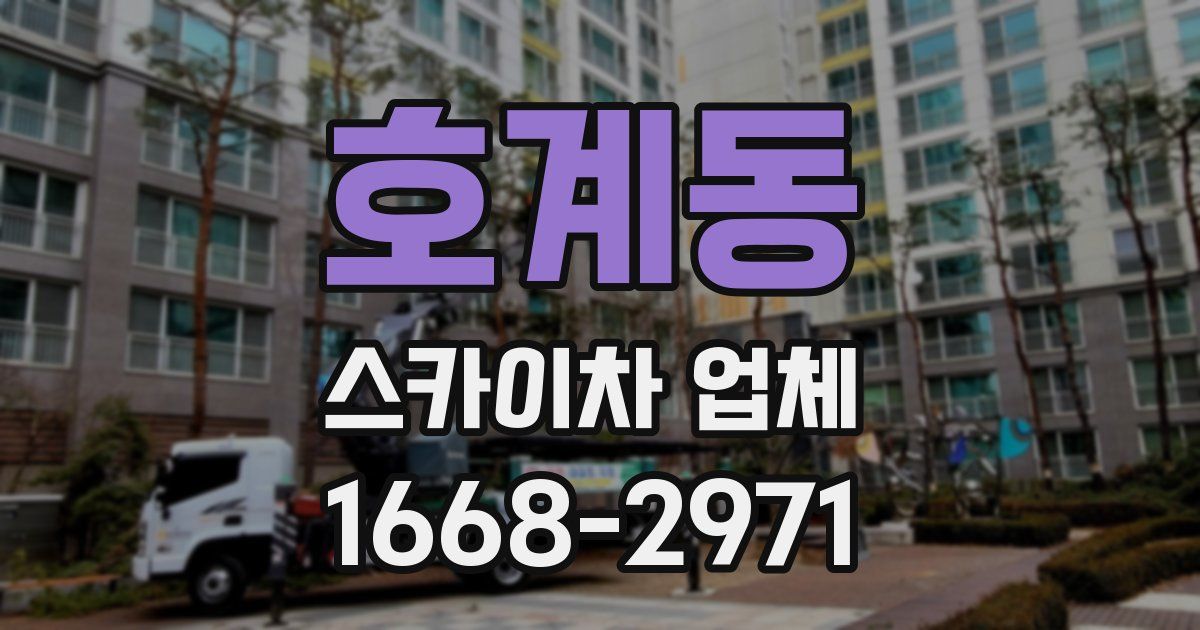 호계동 스카이차 업체