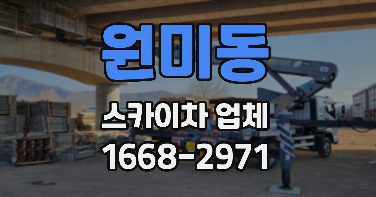 원미동 스카이차 업체