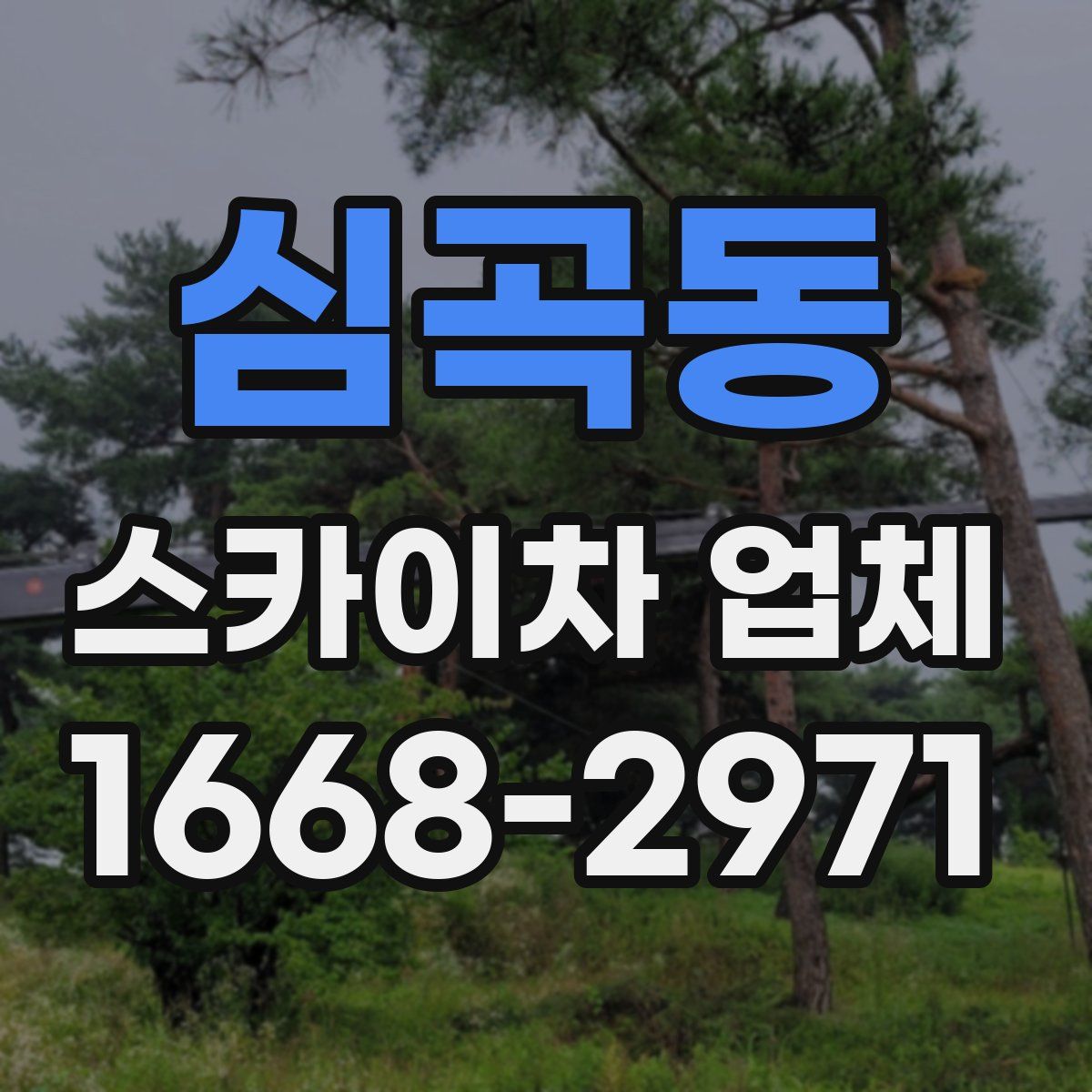 심곡동 스카이차 업체