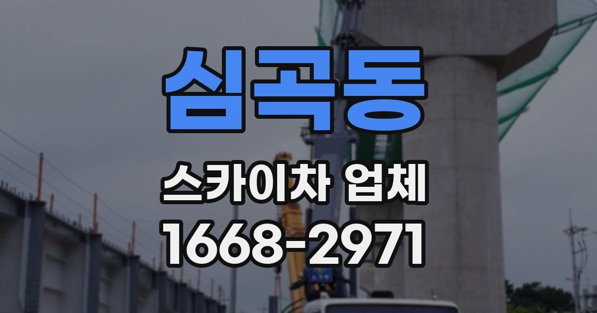 심곡동 스카이차 업체