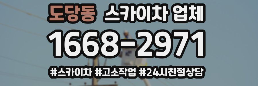 도당동 스카이차 업체