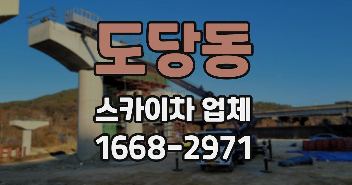 도당동 스카이차 업체