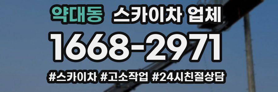 약대동 스카이차 업체