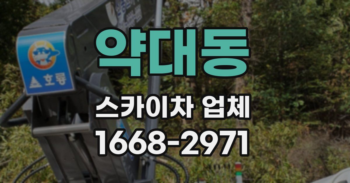 약대동 스카이차 업체