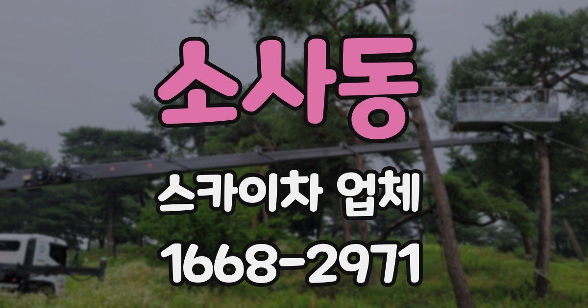 소사동 스카이차 업체