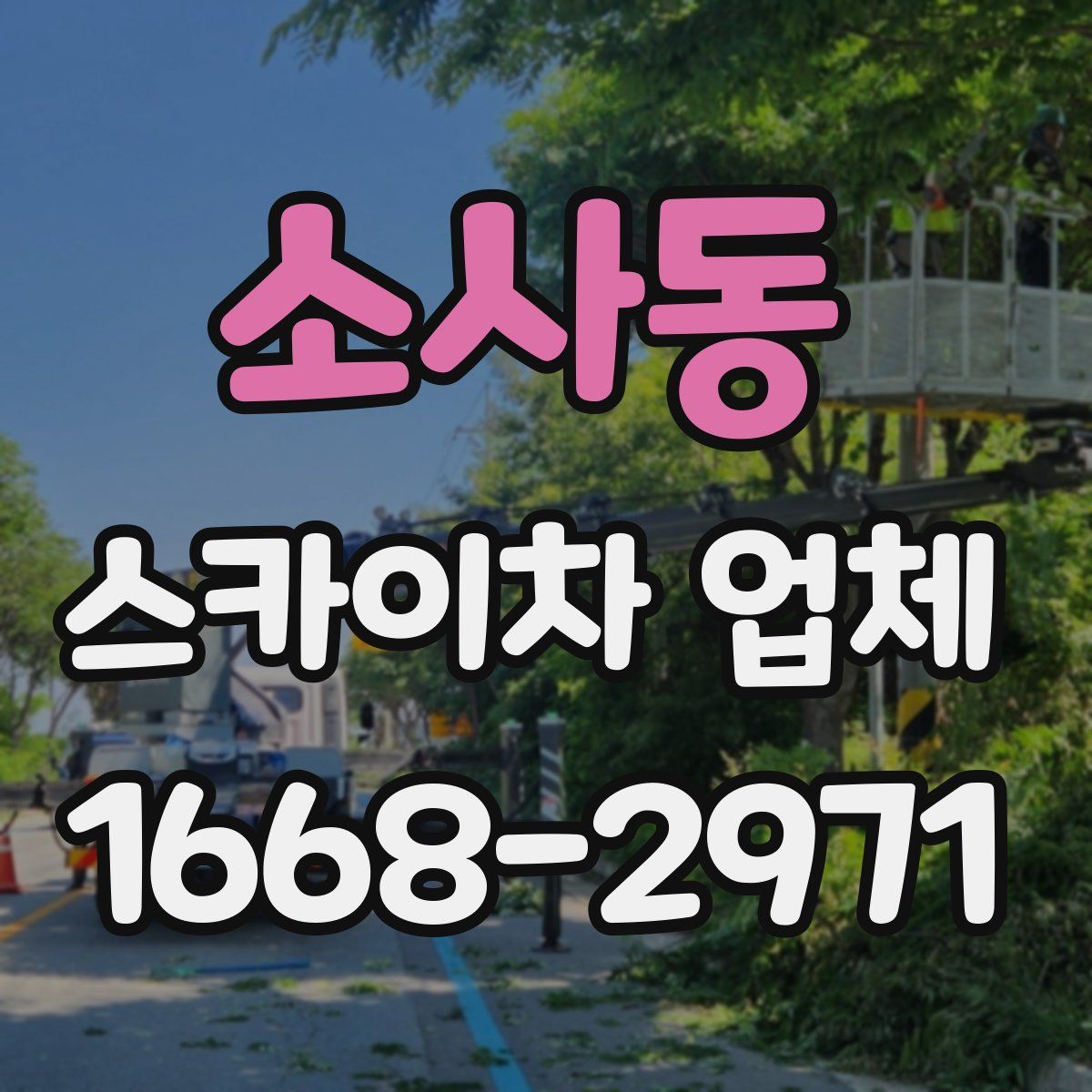 소사동 스카이차 업체
