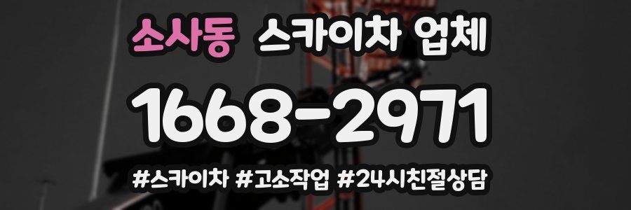소사동 스카이차 업체