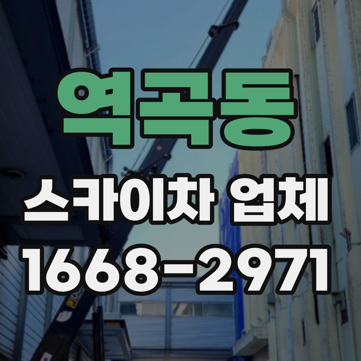 역곡동 스카이차 업체