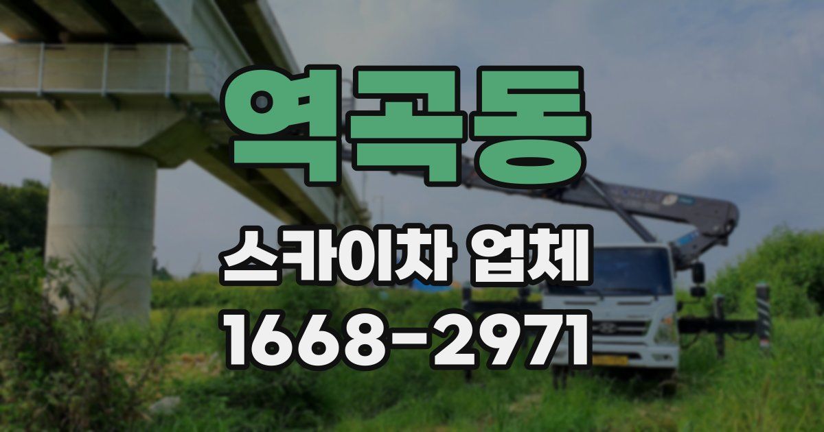 역곡동 스카이차 업체