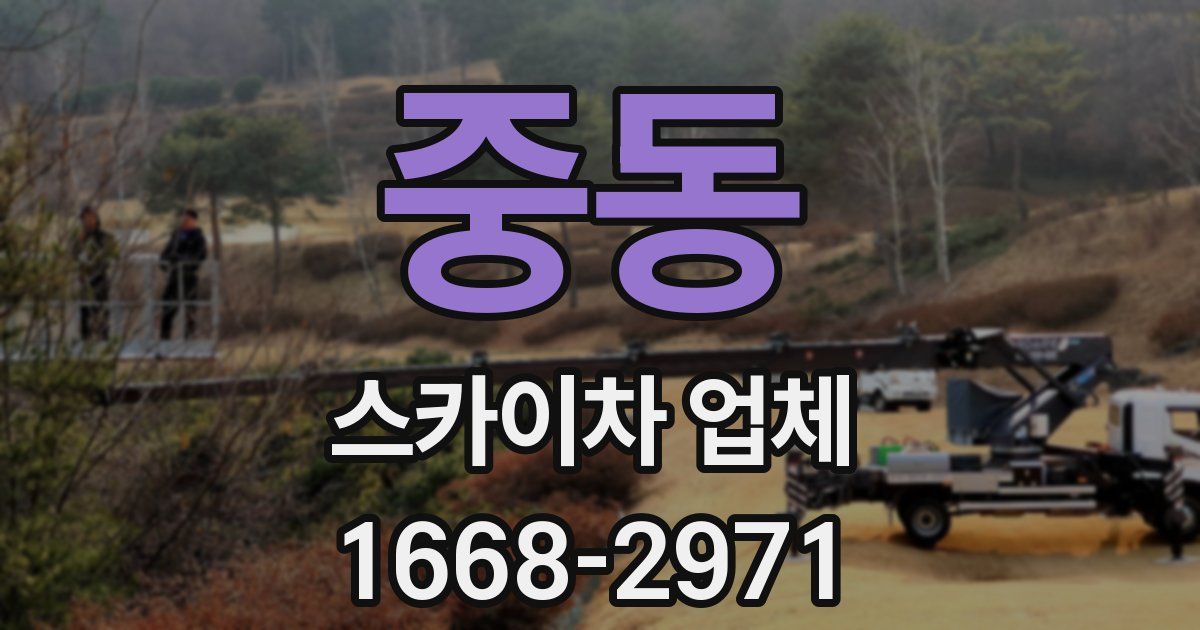 중동 스카이차 업체