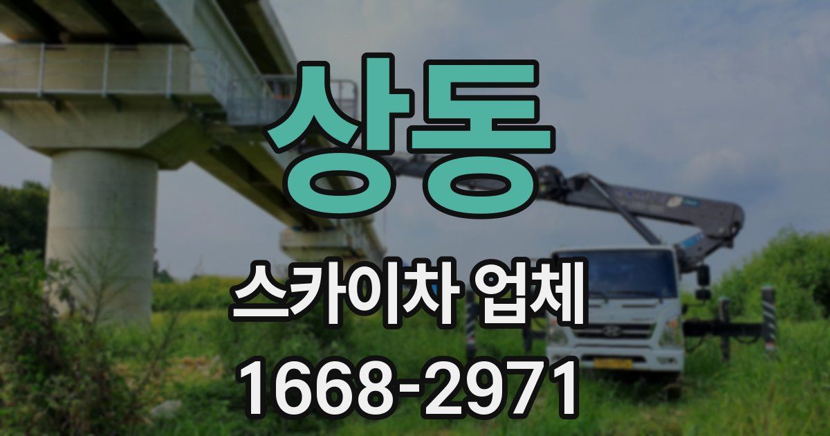 상동 스카이차 업체