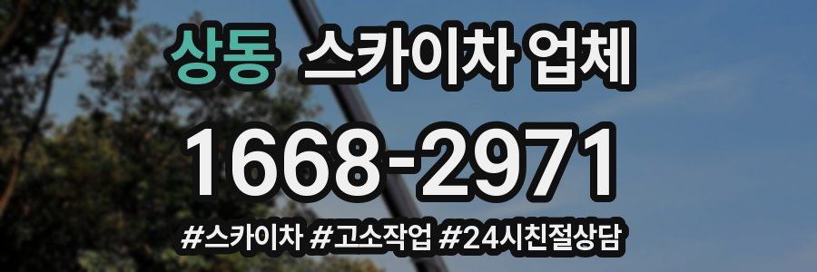 상동 스카이차 업체