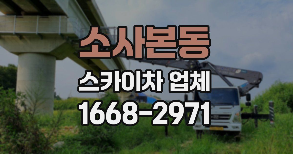 소사본동 스카이차 업체