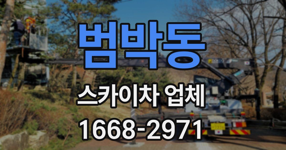 범박동 스카이차 업체