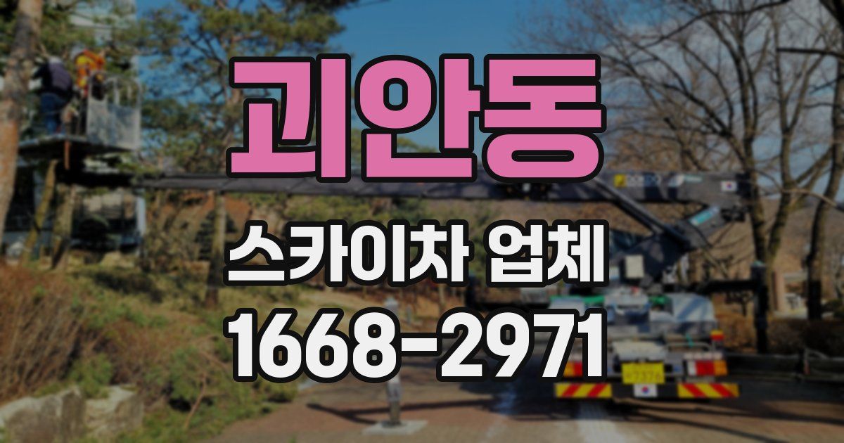괴안동 스카이차 업체