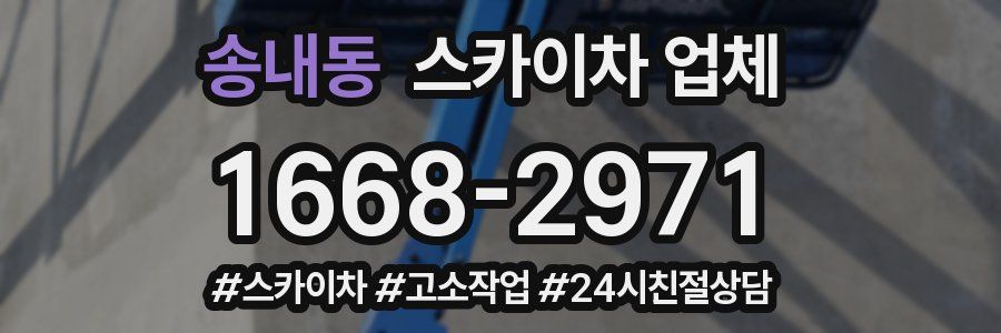 송내동 스카이차 업체