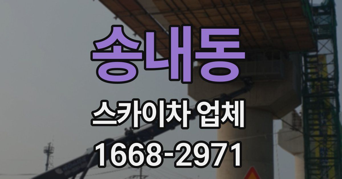송내동 스카이차 업체