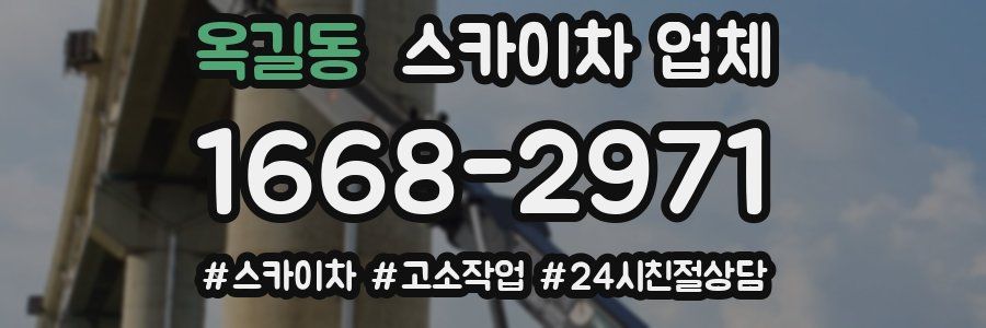 옥길동 스카이차 업체