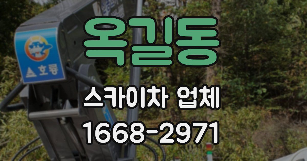 옥길동 스카이차 업체