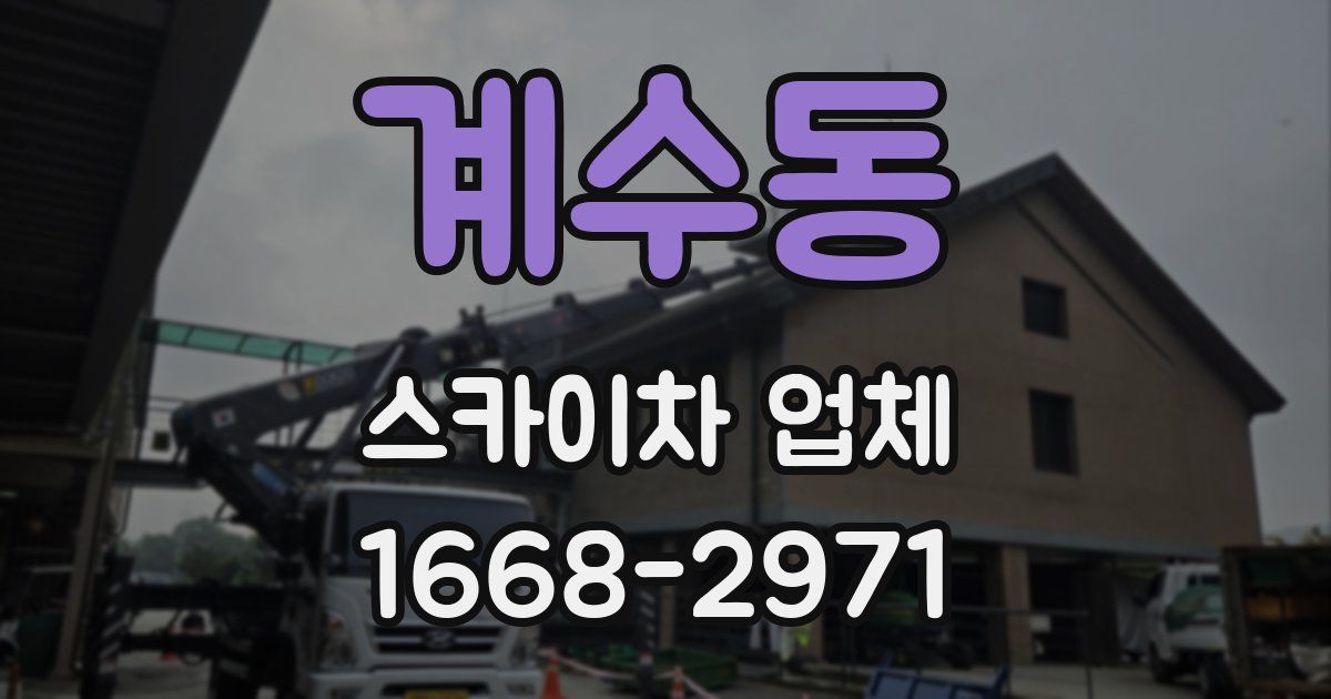 계수동 스카이차 업체