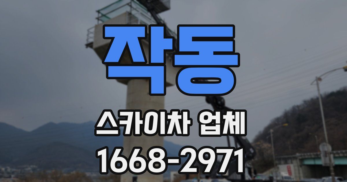 작동 스카이차 업체