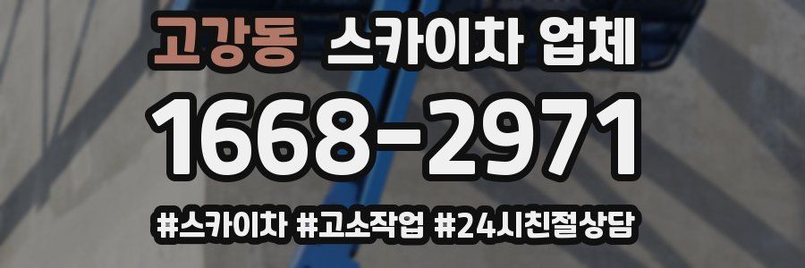 고강동 스카이차 업체