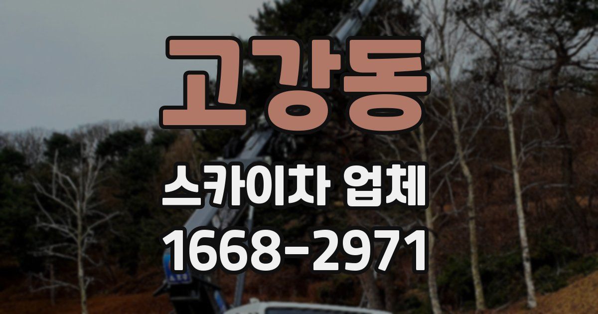 고강동 스카이차 업체