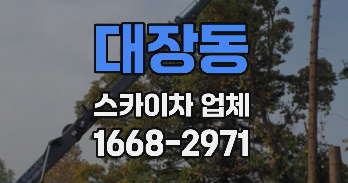 대장동 스카이차 업체