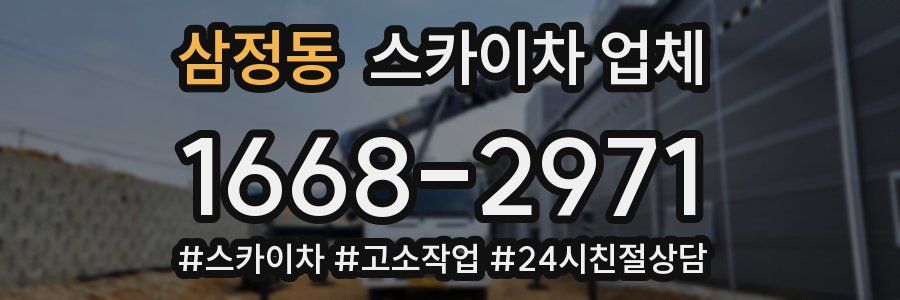 삼정동 스카이차 업체