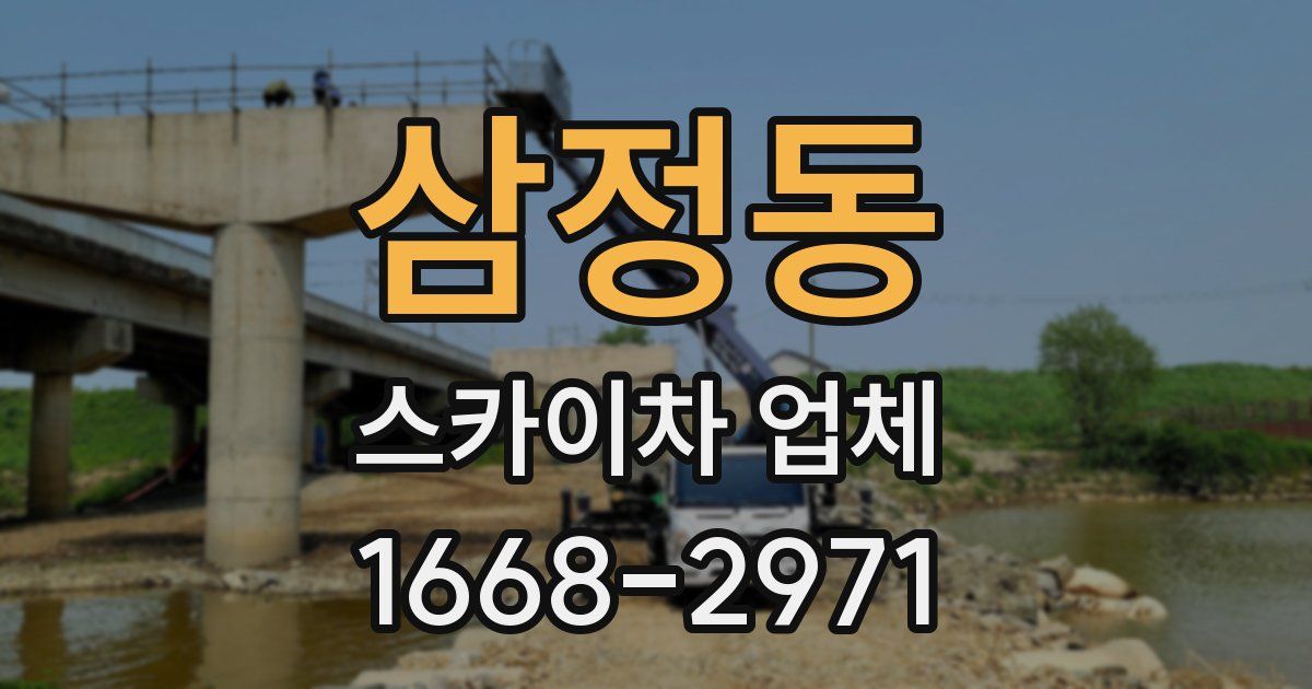 삼정동 스카이차 업체
