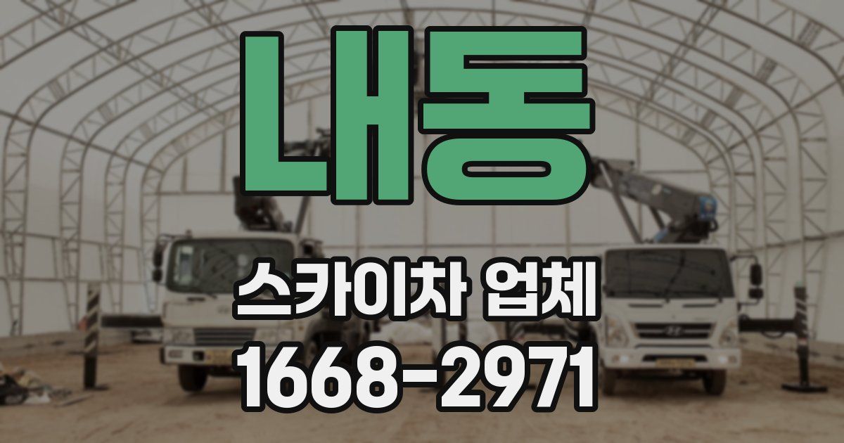 내동 스카이차 업체