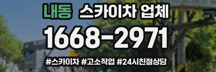 내동 스카이차 업체