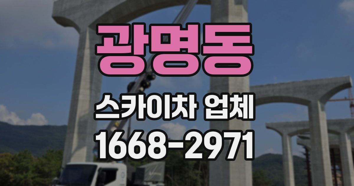 광명동 스카이차 업체