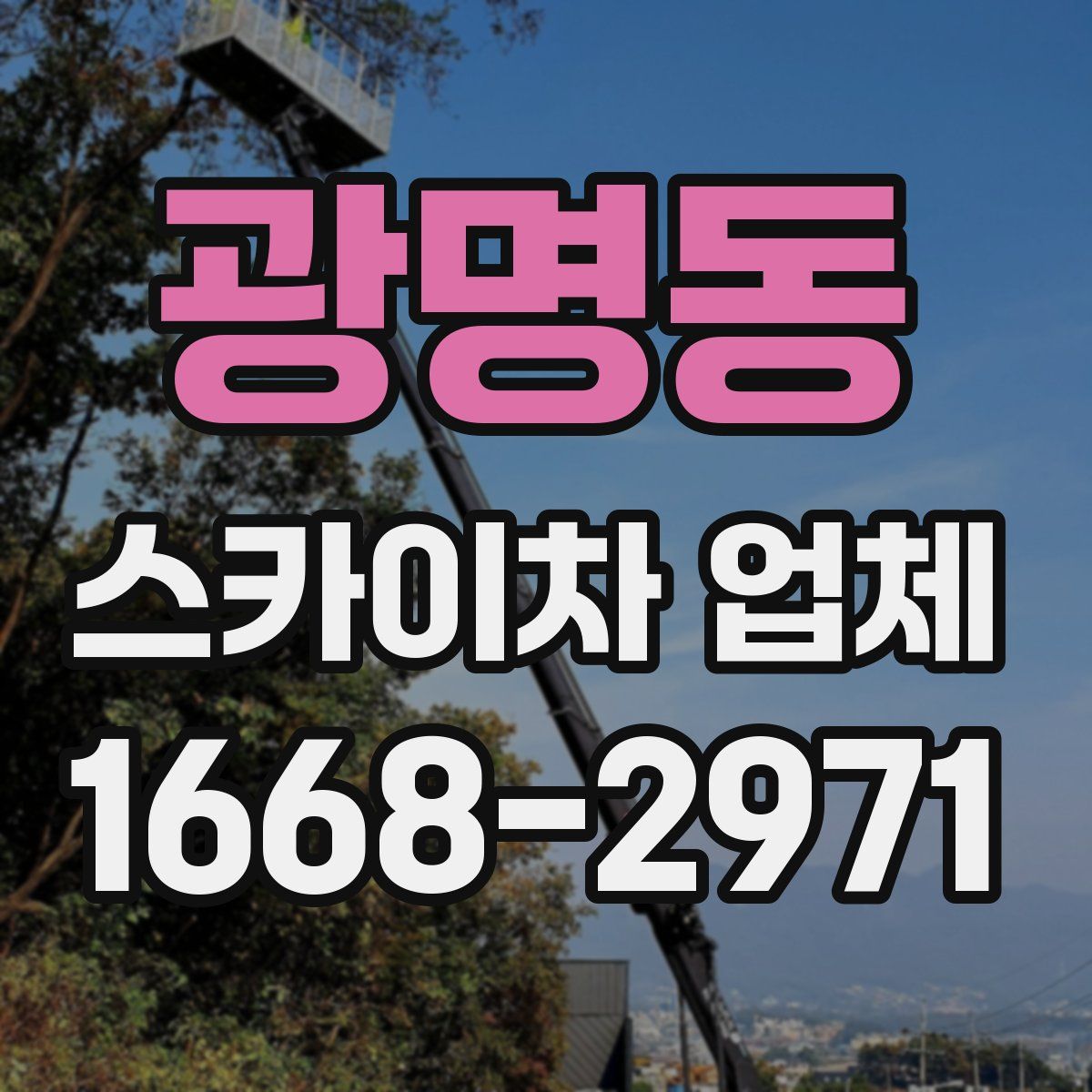 광명동 스카이차 업체