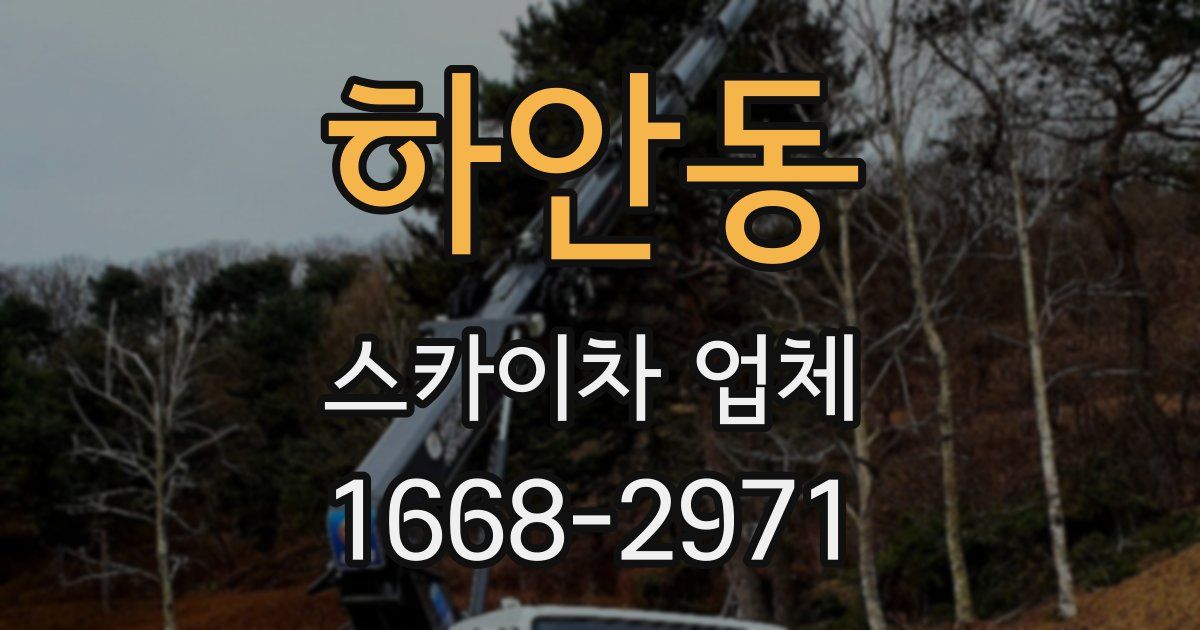 하안동 스카이차 업체