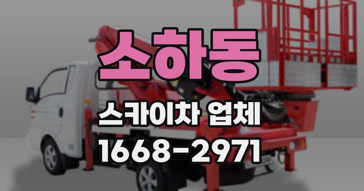 소하동 스카이차 업체