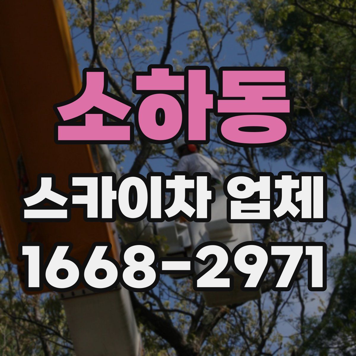 소하동 스카이차 업체